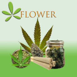 Medical Cannabis