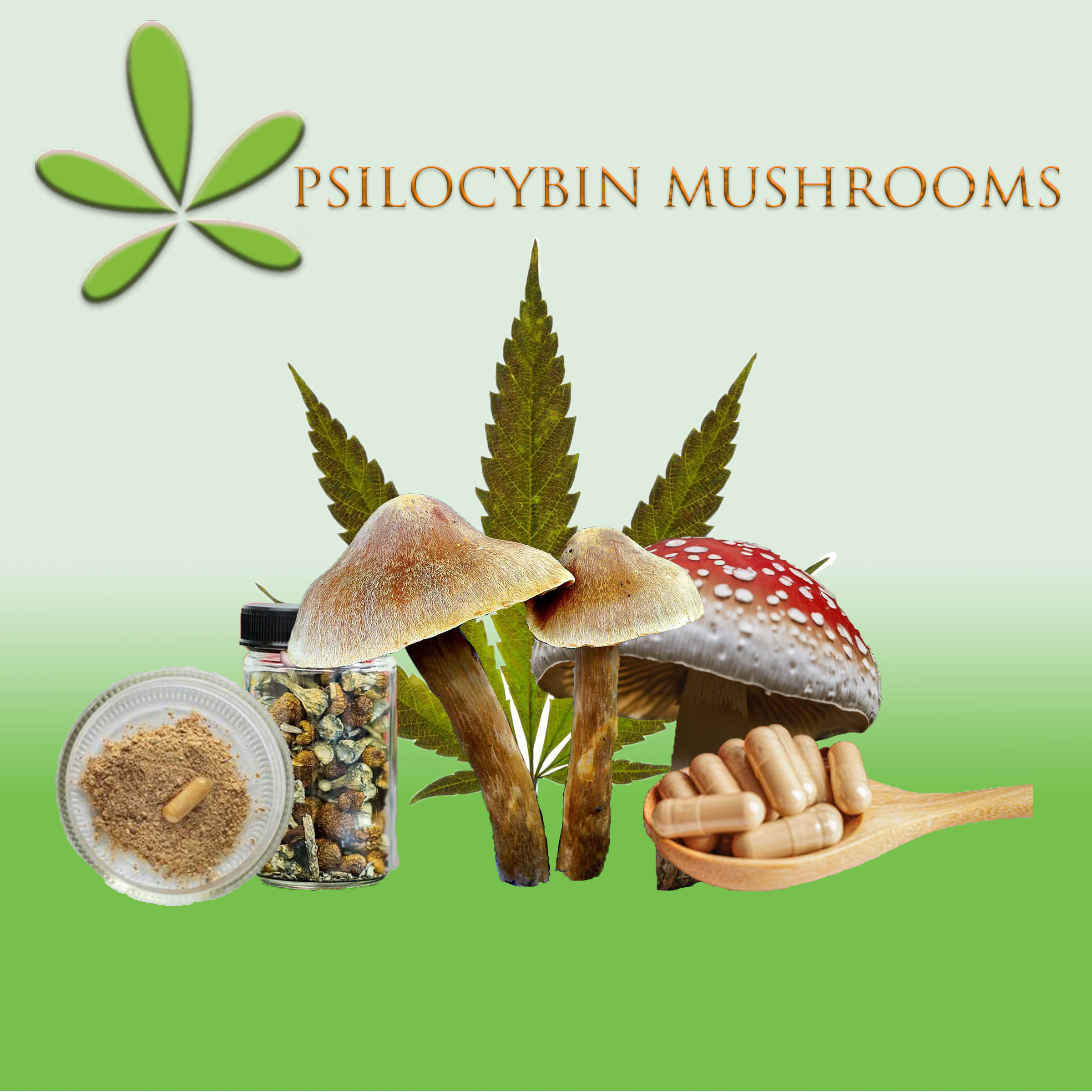 Psilocybin