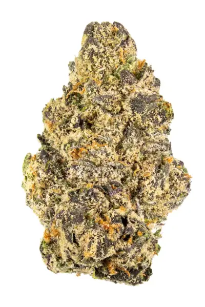 28g - RUNTZ (EXOTIC) - Hybrid