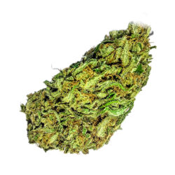 28g - Kosher Kush - Indica