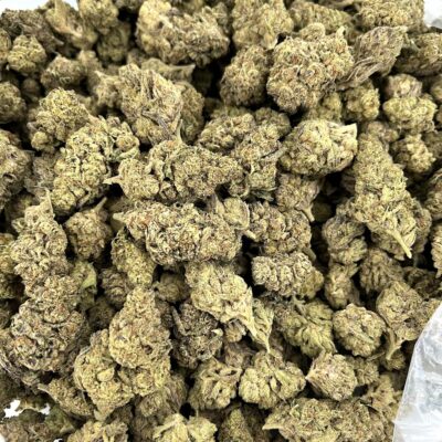 7g - Oreo Stomper - Hybrid - Image 3