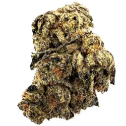 7g - Oreo Stomper - Hybrid