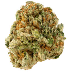 14g - Super Lemon Haze – Exotic Flower (Hybrid)