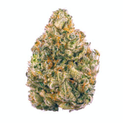 7g - Sunset Cookies (INDOOR) - Hybrid