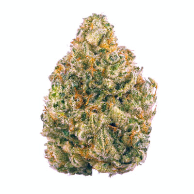 7g - Sunset Cookies (INDOOR) - Hybrid