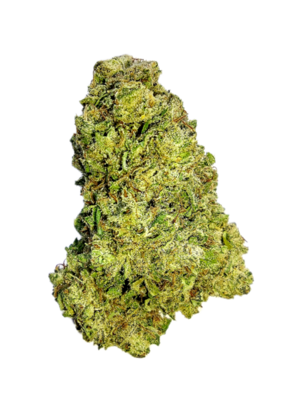 7g - Paul Walker - Hybrid
