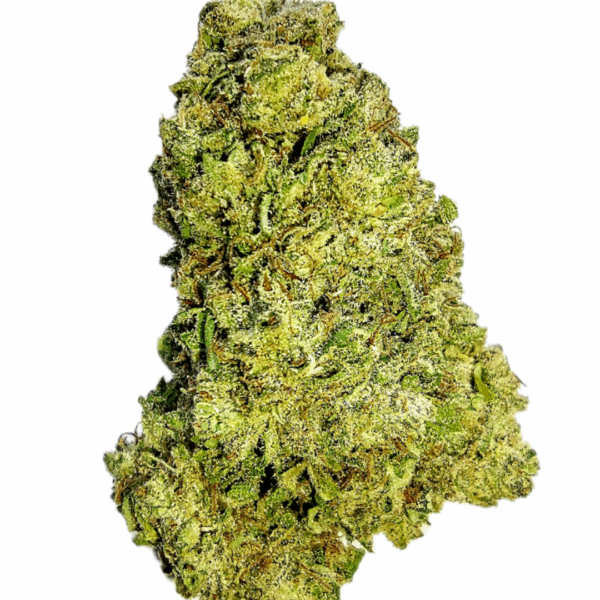 7g - Paul Walker - Hybrid
