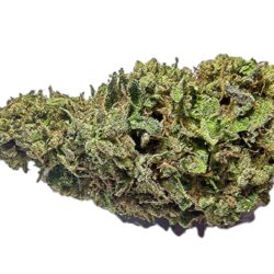 7g - Ogre's Breath - Hybrid