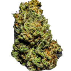7g - Hmong Warrior - Sativa