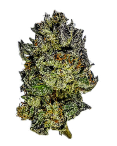 7g - College Park - Sativa