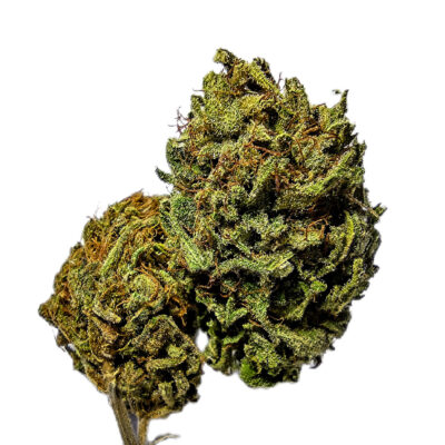 7g - Run Rhino Run - Sativa