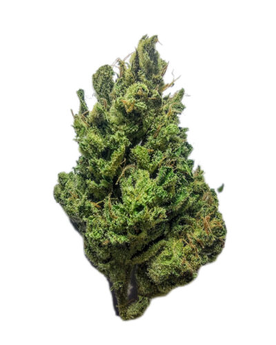 7g - Ron Paul's Righteous Reckoning - Sativa