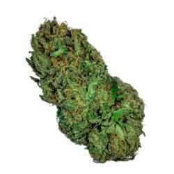 7g - Pigs in the Cookie Jar - Sativa