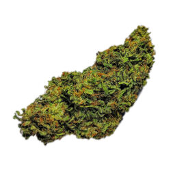 7g - Alaskan Thunder Fuck - Hybrid