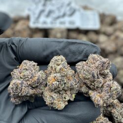 28g - London Fog - AAA Exotic Indoor Flower (Indica-Dominant Hybrid) - DOGTOWN