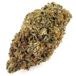 7g - White Smurf - Hybrid