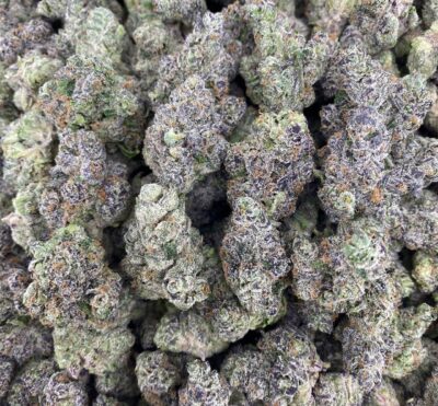 28g - Purple Fanta - Indoor Exotic Flower (Indica) -  DOGTOWN