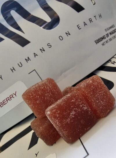 5g - FAM 10pk Magic Mushroom Extract Gummies *Oregon Grown* - Image 2