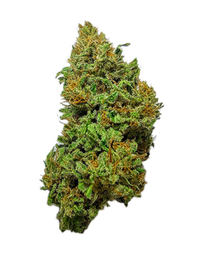 7g - Blast from the Past - Hybrid
