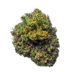 7g - FreeRoss - Ross Unchained  - Sativa