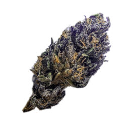 7g - All Gas OG - Indica