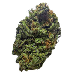 7g - Cherry Limeade - Sativa
