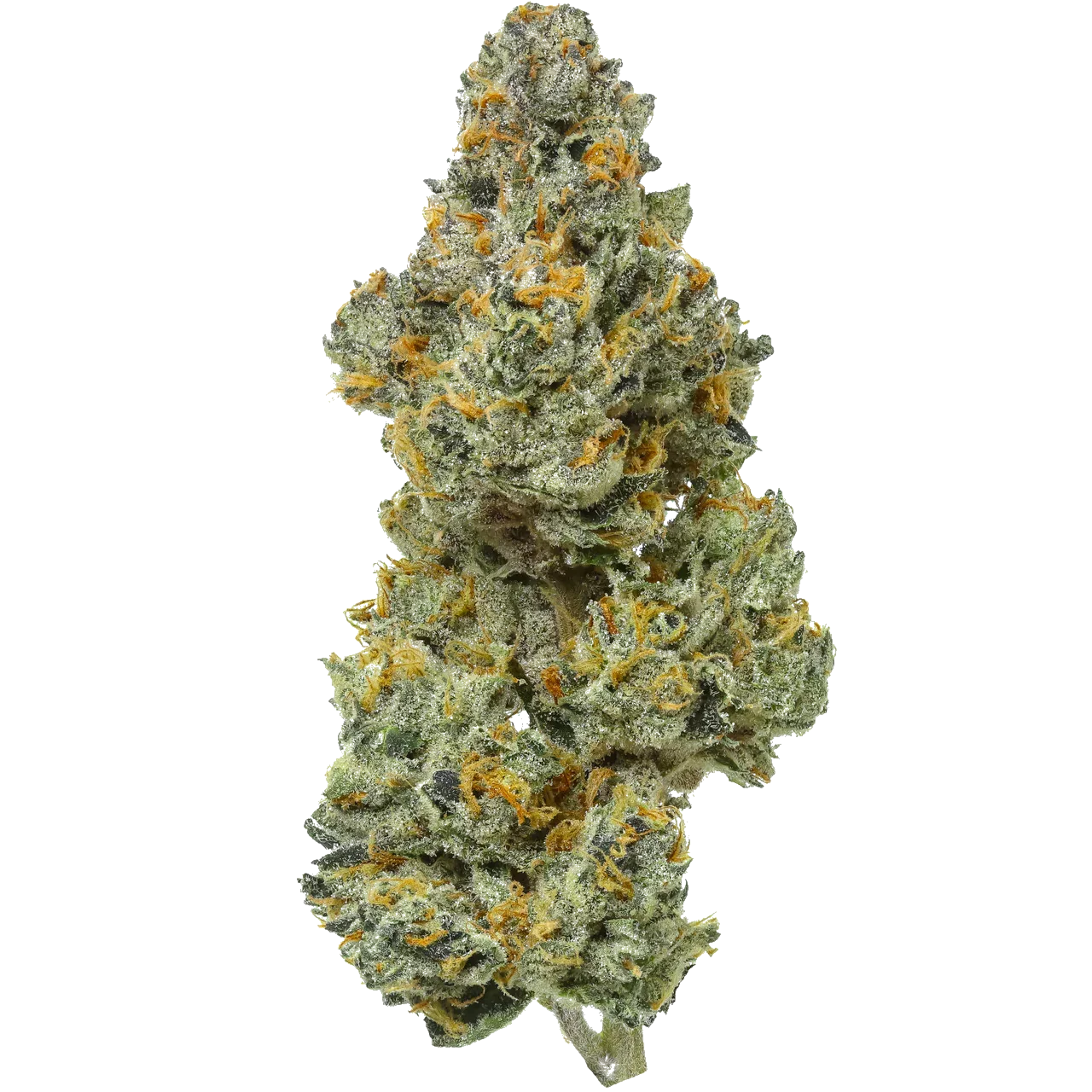 7g - Blue Runtz (indoor) - Hybrid - NX