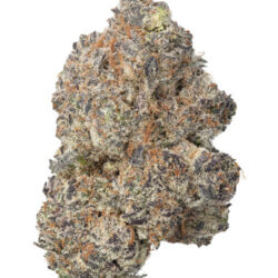 28g - ANIMAL COOKIES (HYBRID)