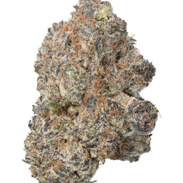 7g - Animal Cookies -  Exotic Indoor - Hybrid