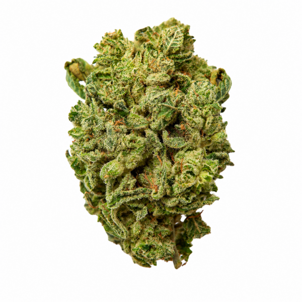 14g/28g - Gelato 41 - Light Assist Flower (Sativa Dominant) -  DOGTOWN