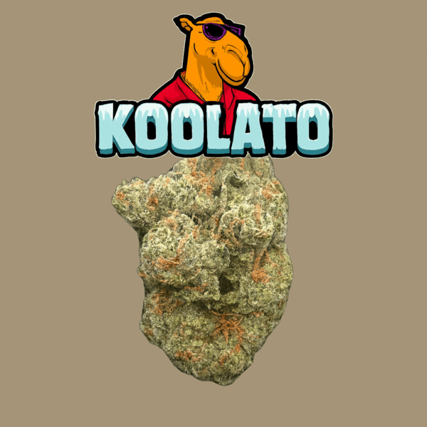 28g - Koolato - Exotic Flower (Hybrid) -  DOGTOWN