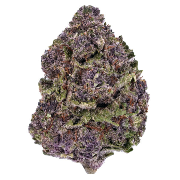 14g/28g - Purple Runtz - Exotic Flower (Hybrid) -  Dogtown