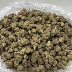 28g - Rainbow Beltz - Exotic Dep Flower (Indica) -  DOGTOWN
