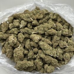 28g - Georgia Pie - Exotic Flower (Hybrid) -  DOGTOWN