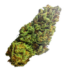 28g - Cosmic Vegan Mint - Sativa