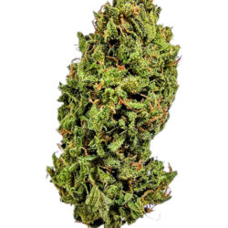 28g - Grandaddy Bruce - Indica