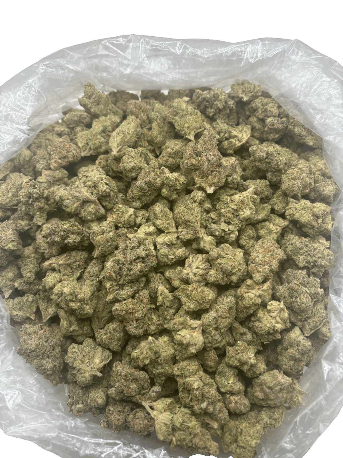 28g - Koolato - Exotic Flower (Hybrid) -  DOGTOWN - Image 2