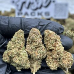 28g - Banana Punch - Exotic Dep Flower (Hybrid) -  DOGTOWN