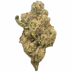 28g - Bubblegum Gelato - Exotic Flower (Indica-Heavy Hybrid) -  DOGTOWN