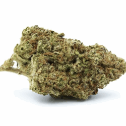14g - Gelato #41 – Exotic Flower (Hybrid)