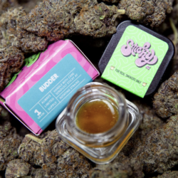 1g - Sticky Keylime Pie Budder
