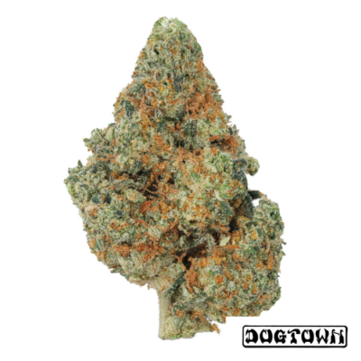 28g - Mango Kush - Exotic Indoor Flower (Indica Dominant Hybrid) -  DOGTOWN