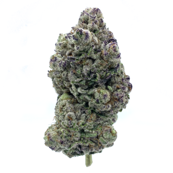 14g/28g - Pipe Dream - Exotic Flower (Sativa) -  DOGTOWN