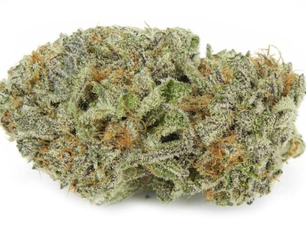7g - White Rino - Hybrid