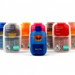 2g - Boutiq Switch - Disposable (Dual Flavor)