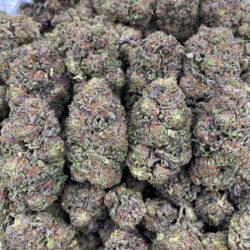 28g - Girl Scout Cookies - (Hybrid) -  DOGTOWN