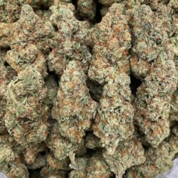 28g - Papaya Punch - Exotic Flower (Indica-Dominant Hybrid) -  DOGTOWN