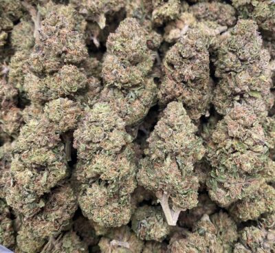 28g - Granddaddy Purple - Exotic Flower (Indica-Dominant Hybrid) -  DOGTOWN