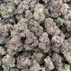 28g - Bubblegum Gelato - Exotic Flower (Indica-Dominant Hybrid) -  DOGTOWN