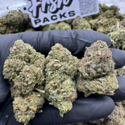 28g - Triangle OG - Exotic Flower (Indica) -  DOGTOWN